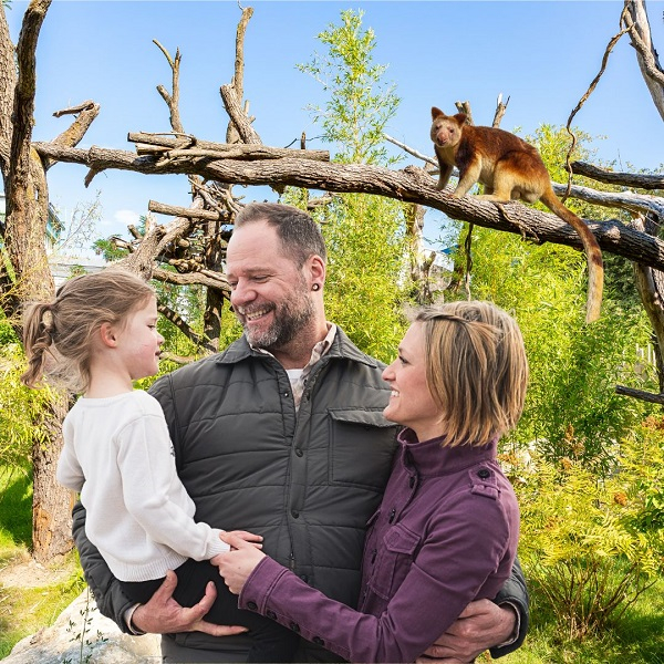 Öffentliche Führungen