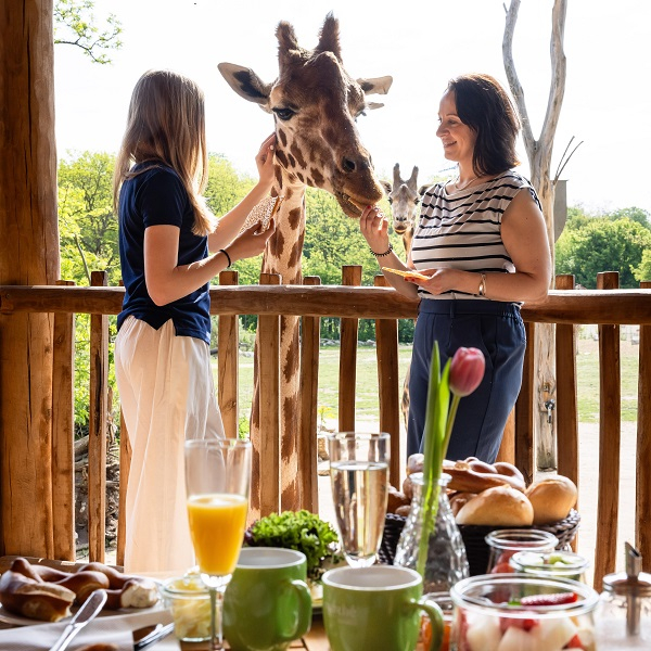 Frühstück mit Giraffen